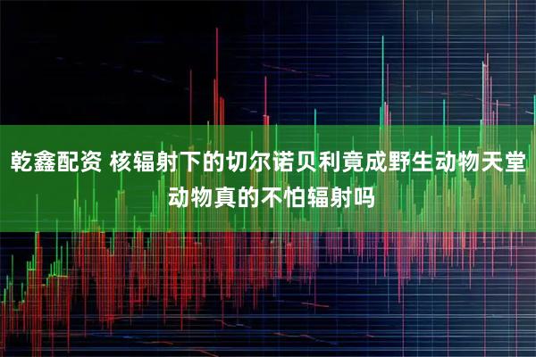 乾鑫配资 核辐射下的切尔诺贝利竟成野生动物天堂 动物真的不怕辐射吗