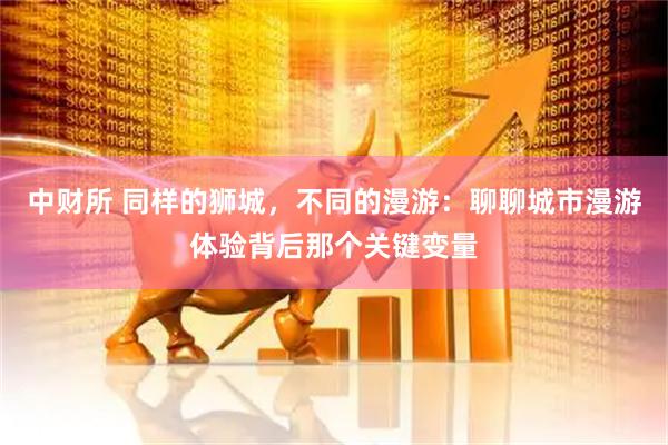 中财所 同样的狮城，不同的漫游：聊聊城市漫游体验背后那个关键变量