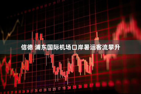 信德 浦东国际机场口岸暑运客流攀升