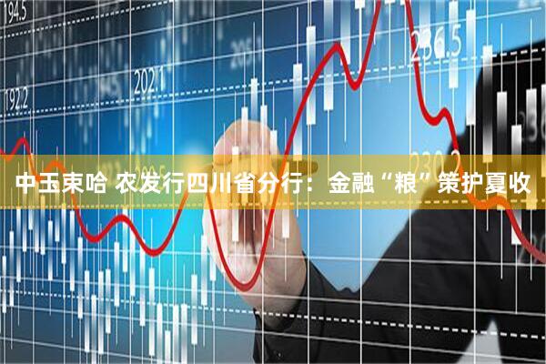 中玉束哈 农发行四川省分行：金融“粮”策护夏收