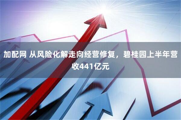 加配网 从风险化解走向经营修复，碧桂园上半年营收441亿元